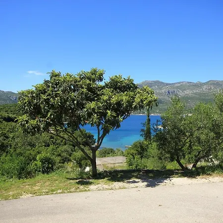 With A Parking Space Cove Vrbovica Bay - Vrbovica קורצולה